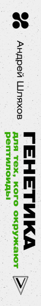 SOURCE_SPINE SOURCE_SPINE