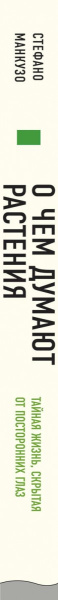 SOURCE_SPINE SOURCE_SPINE