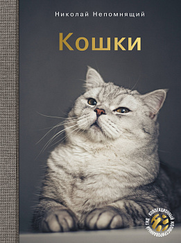 Кошки Кошки