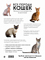 Все породы кошек. Большая иллюстрированная энциклопедия