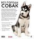 Все породы собак