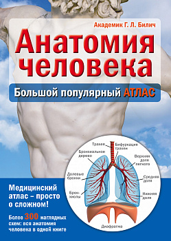 Анатомия человека: большой популярный атлас Анатомия человека: большой популярный атлас