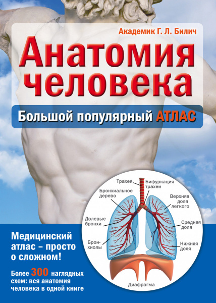 Анатомия человека: большой популярный атлас Анатомия человека: большой популярный атлас
