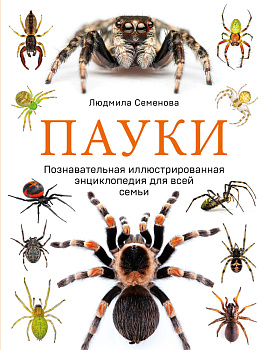 Пауки. Познавательная иллюстрированная энциклопедия для всей семьи Пауки. Познавательная иллюстрированная энциклопедия для всей семьи