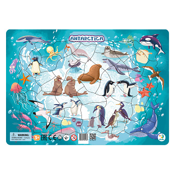 Пазл в рамке "Антарктида" 53 элемента Пазл в рамке "Антарктида" 53 элемента