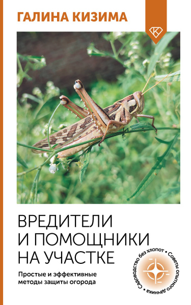 SOURCE_PICTURE