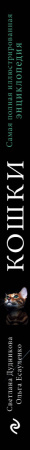 SOURCE_SPINE
