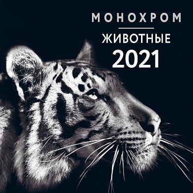 Монохром. Животные. Календарь настенный на 2021 год (300х300 мм)