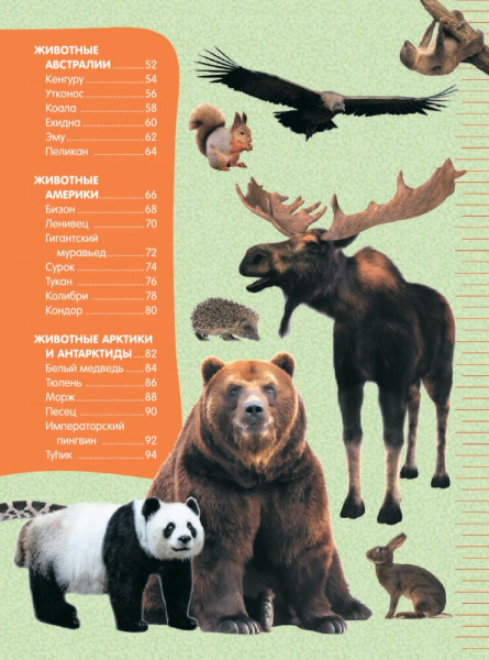 Большие и маленькие животные