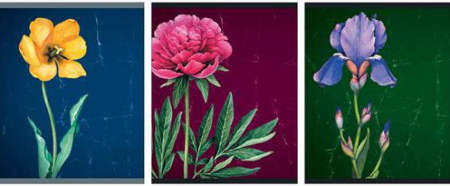 Изящный гербарий ТЕТРАДИ А5 (*скрепка) 48Л. Обложка: high-class