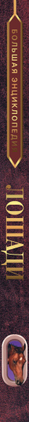 SOURCE_SPINE SOURCE_SPINE