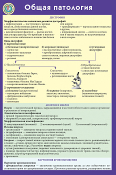 Общая патология Общая патология