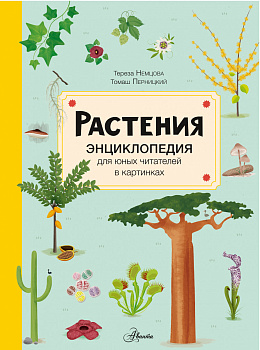 Растения Растения