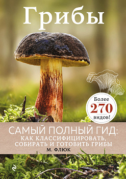 Грибы Грибы