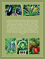 Овощи и пряные травы. Иллюстрированная энциклопедия (Книга для цветовода)