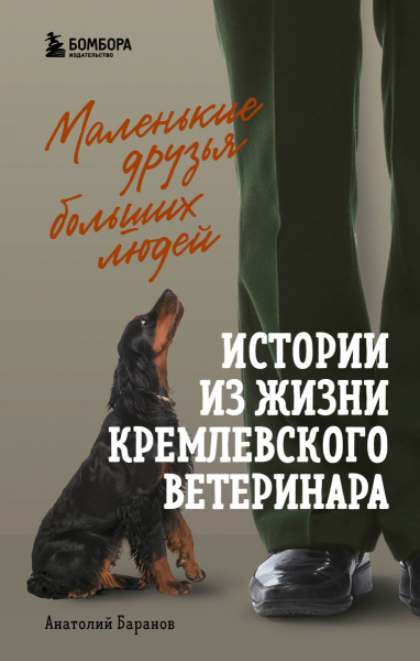 SOURCE_PICTURE SOURCE_PICTURE