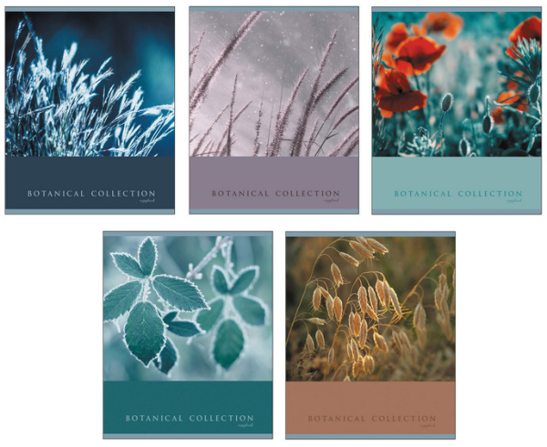 Застывшая красота ТЕТРАДИ А5 (*скрепка) 96Л. Обложка: ламинирование