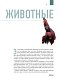 Атлас Земли. Животные, растения, грибы, бактерии, минералы и другие сокровища нашей планеты