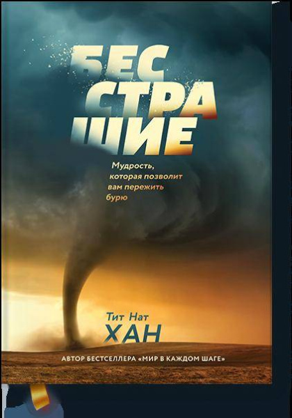 Бесстрашие. Мудрость, которая позволит вам пережить бурю