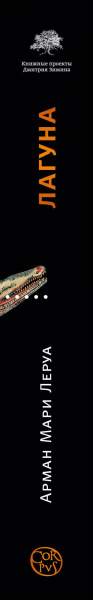 SOURCE_SPINE SOURCE_SPINE