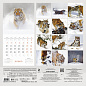Тигры в снегах. Календарь настенный на 2022 год (300х300 мм)