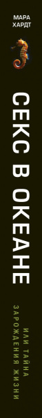 SOURCE_SPINE SOURCE_SPINE