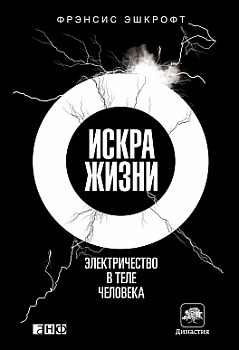 Искра жизни: Электричество в теле человека