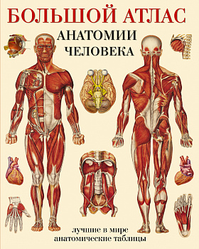 Большой атлас анатомии человека