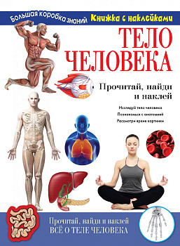 Тело человека. Познавательный набор Тело человека. Познавательный набор
