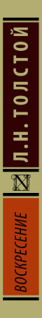 SOURCE_SPINE SOURCE_SPINE