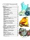 Большая книга о минералах и камнях. 1001 фотография