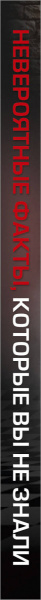 SOURCE_SPINE SOURCE_SPINE