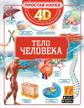 Тело человека Тело человека