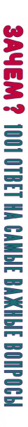 SOURCE_SPINE