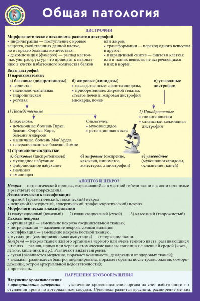 SOURCE_PICTURE SOURCE_PICTURE