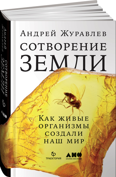 SOURCE_PICTURE