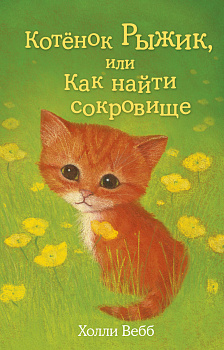 Котёнок Рыжик, или Как найти сокровище (выпуск 13)