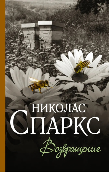 Возвращение