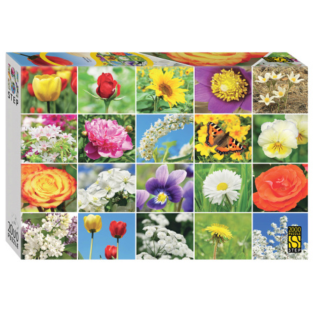 Мозаика "puzzle" 2000 "Цветы. Коллаж"