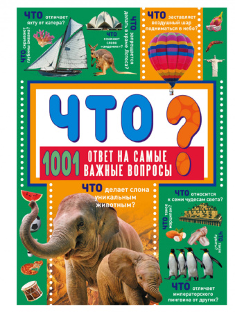 ЧТО? 1001 ответ на самые важные вопросы ЧТО? 1001 ответ на самые важные вопросы