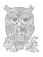 Совушки. У-у-у, раскраска для тех, кто любит ночь