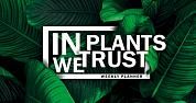 Мини-планер. In PLANTS we trust
