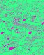 Я отличник