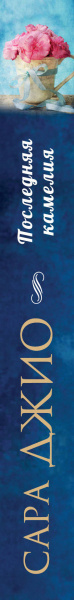 SOURCE_SPINE