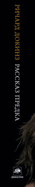 SOURCE_SPINE SOURCE_SPINE