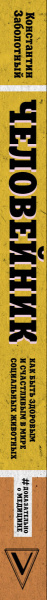 SOURCE_SPINE