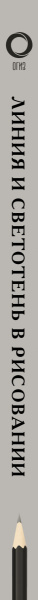 SOURCE_SPINE SOURCE_SPINE