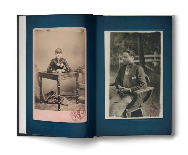 Собрание птиц