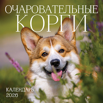 Очаровательные корги. Календарь настенный на 2026 год (300х300 мм) Очаровательные корги. Календарь настенный на 2026 год (300х300 мм)