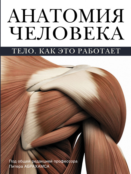 Анатомия человека Анатомия человека